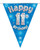 Blue Holographic Bunting 11 Flags Age 11