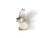 Sam White Squirrel 21cm