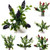 Plastic Bush Assorted