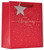 Merry Christmas Gift Bag Medium