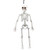 Poseable Skeleton 150cm