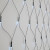 160 LED Battery Operated Timer Net LIghts White