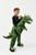 Ride On Dinosaur Age 3 to 5