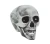 Skull Prop PVC 20cm