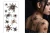 Halloween Spider Tattoos with Shadow 14x30cm