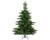 Grandis Fir Christmas Tree 2.4m