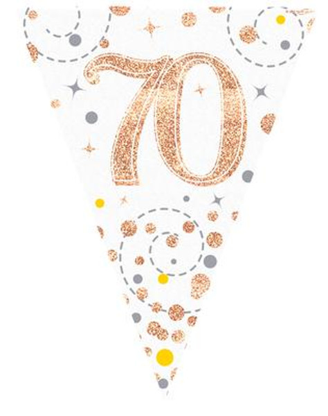 Rose Gold Sparkling Fizz Bunting 11 Flags Age 70