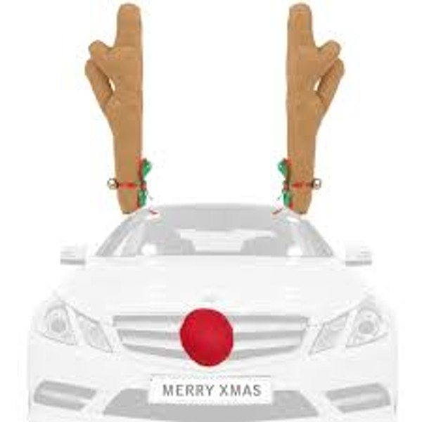 Reindeer Car Decoration Set