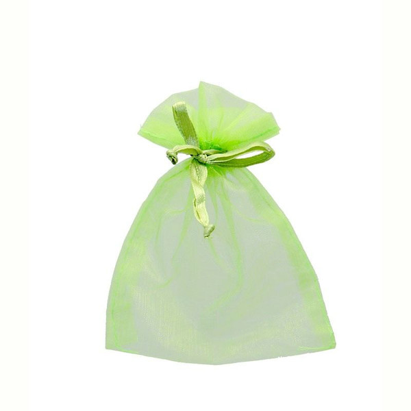 Organza Bag 4x5in Pack10 Mint