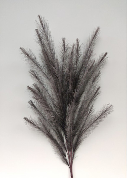 Decorative Grass Black 130cm Stem