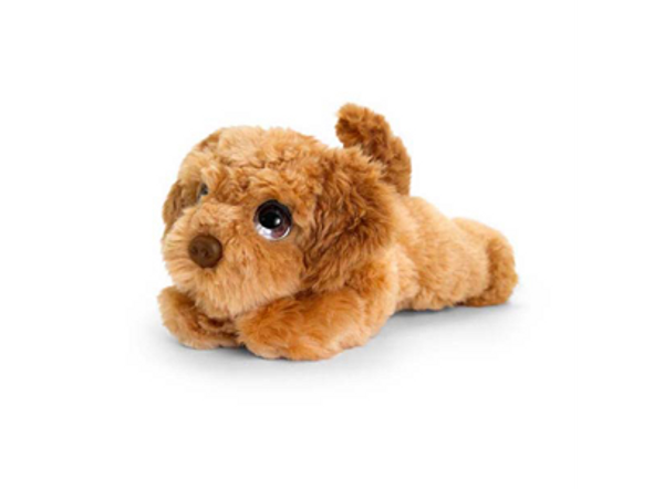 Signature Cuddle Puppy Cockapoo 25cm