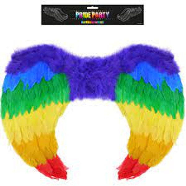 Pride Rainbow Wings 60x40cm