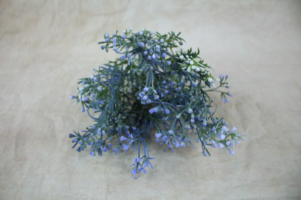 Mini Wax Flower Bush Blue