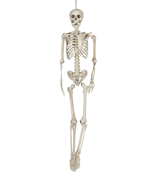 Hanging Skeleton 160cm