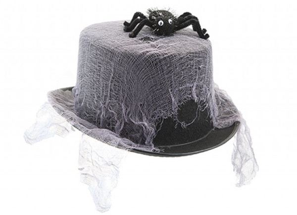 Spider and Web Top Hat