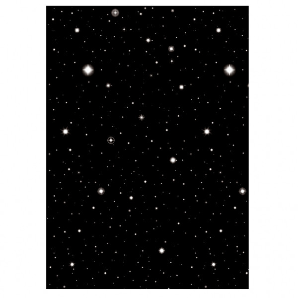 Hollywood Scene Setter Room Roll Starry Night