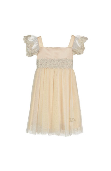Disney Princess Belle Gold Lace Dress Age 2 to 3 Yrs
