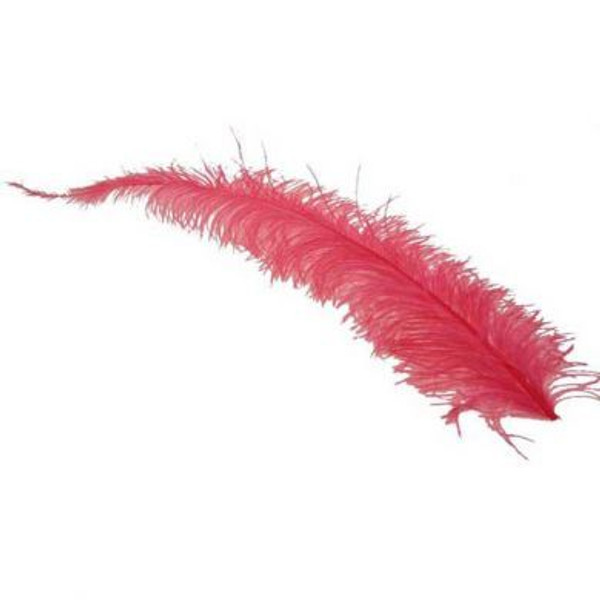 Ostrich Feathers Vibrant Pink L