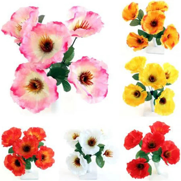 Wild Poppy Bush 5 Heads