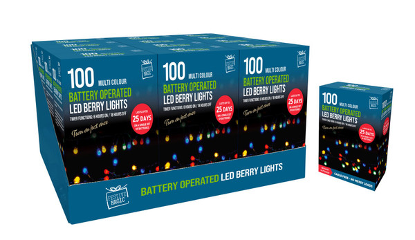 LED 100 Timer Berry Lights Multicoloured