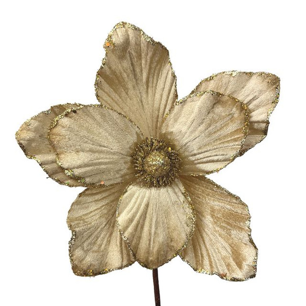 Magnolia Pick 25cm Champagne