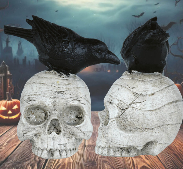 Skull with Crow 14x9cm
