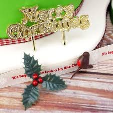 Yule Log Decorating Kit