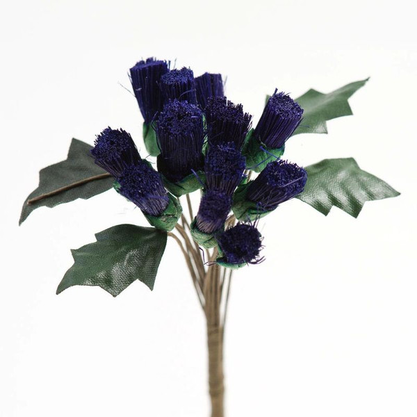 Mini Thistle Bunch Pk12 Med Single