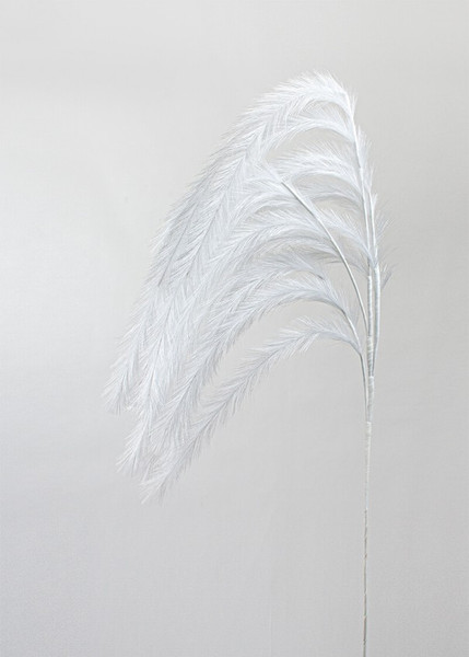 Pampas Hanging Flower White 150cm