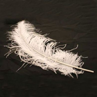 Ostrich Feathers L White