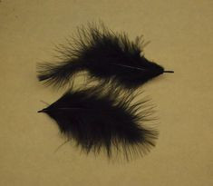 200approx Sale Loose Black Feathers