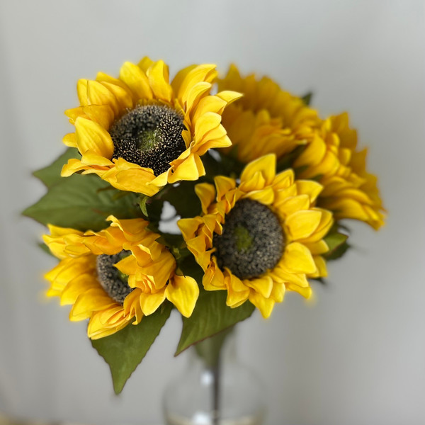 Sunflower Bush Yellow 5 Heads