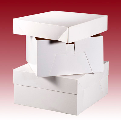 Cake Box 16in