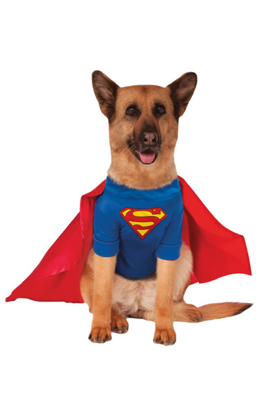 Superman Pet Costume XXXL