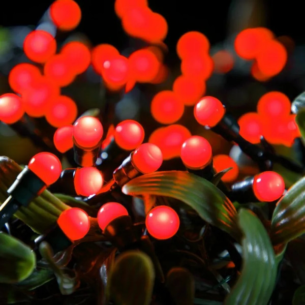 100 LED Berry Lights Red Battery Operated