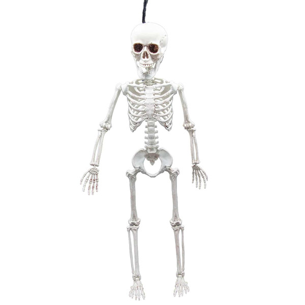 Poseable Skeleton 150cm