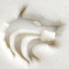 Wolf's Head Stamp