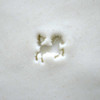 Rearing Horse Stamp