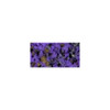 Iced Enamels Relique Powder Cold Enameling Amethyst