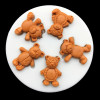Five Cute Little Bears Mold