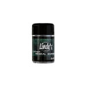 Lindy's Magical Shakers Mica Powders Spill the Tea Teal