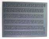 Shanks ALot Texture Stamp Shanks ALot Texture Stamp