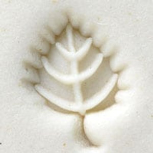 Beech Leaf Stamp