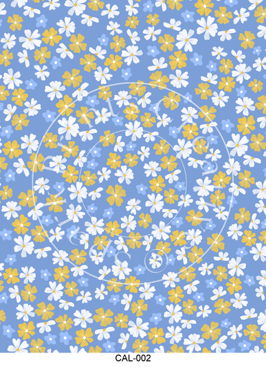 CAL-002 Spark Prints Creative Image Transfer