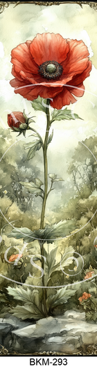 BKM-293 Spark Prints Creative Image Transfer