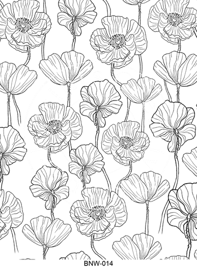 BNW-014 Spark Prints Creative Image Transfer
