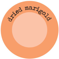 Tim Holtz Distress Ink Dried Marigold Re-Inker