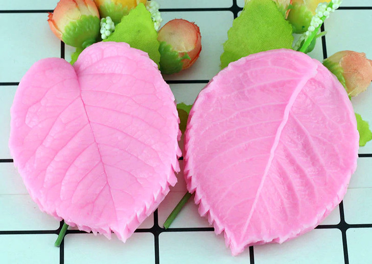 Leaf Petal Vein Textures front and back