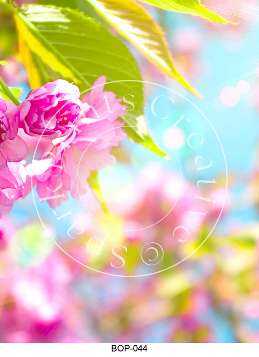 BOP-044 Spark Prints Creative Image Transfer