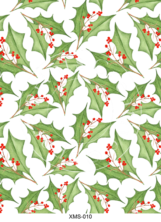 XMS-010 Spark Prints Creative Image Transfer